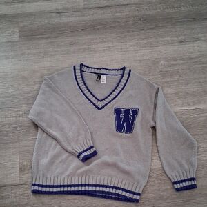 Divided Gray V-Neck Sweater with Purple Accents